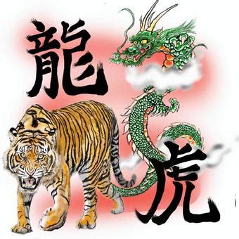 龍虎圖|210+張龍虎圖案，龍虎設計圖片素材免費下載